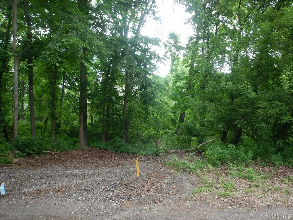 Johnson Drive | Lot 3 Lake Orion Village, MI 48362