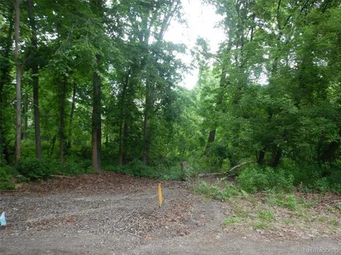 Johnson Drive | Lot 3
