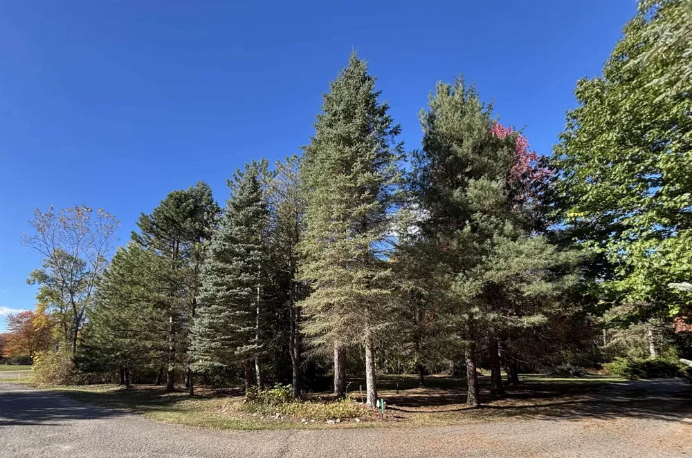 Simcheck Drive Lyon Charter Township, MI 48167