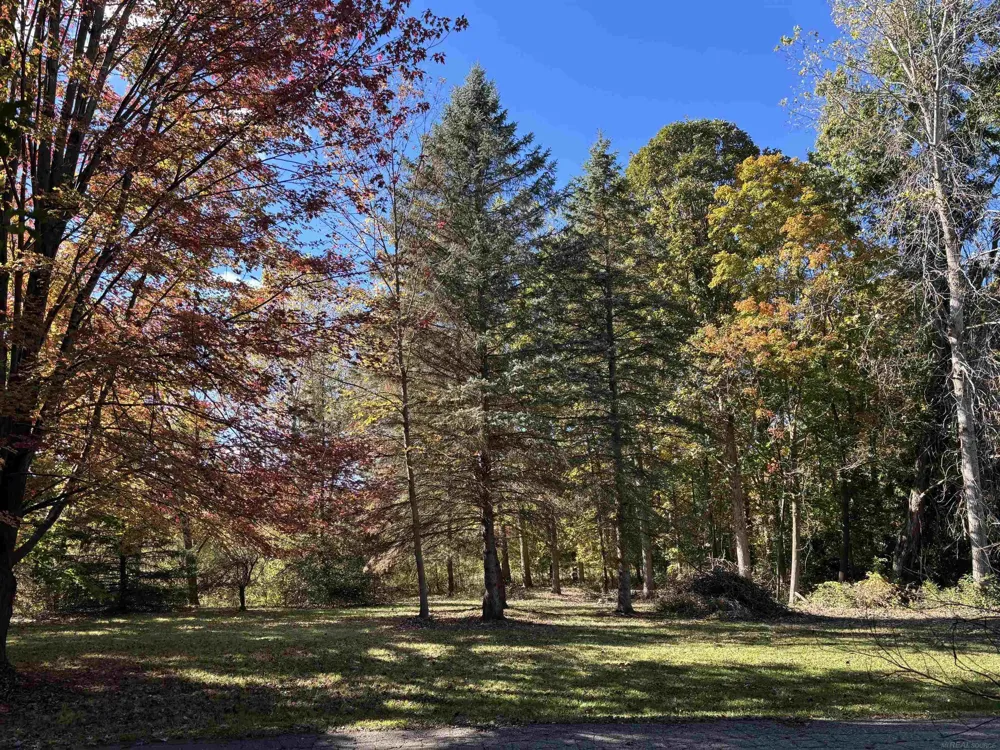 Simcheck Drive Lyon Charter Township, MI 48167