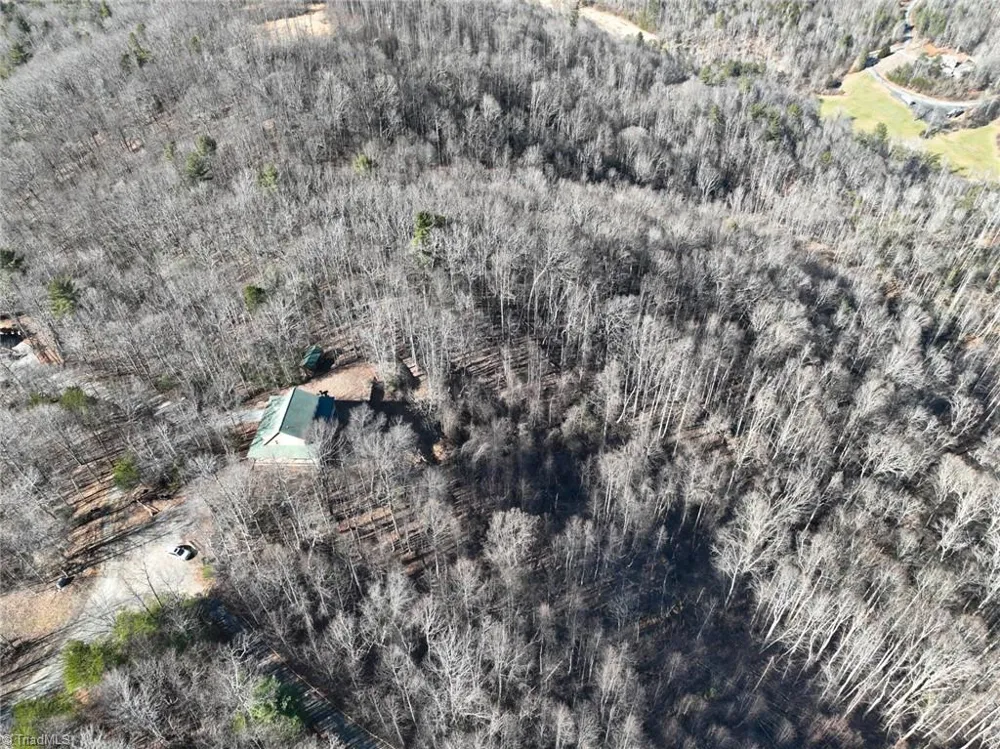658 Green Point Lane Boomer, NC 28606