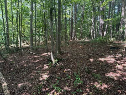 Lot 22 Austin Traphill Road
