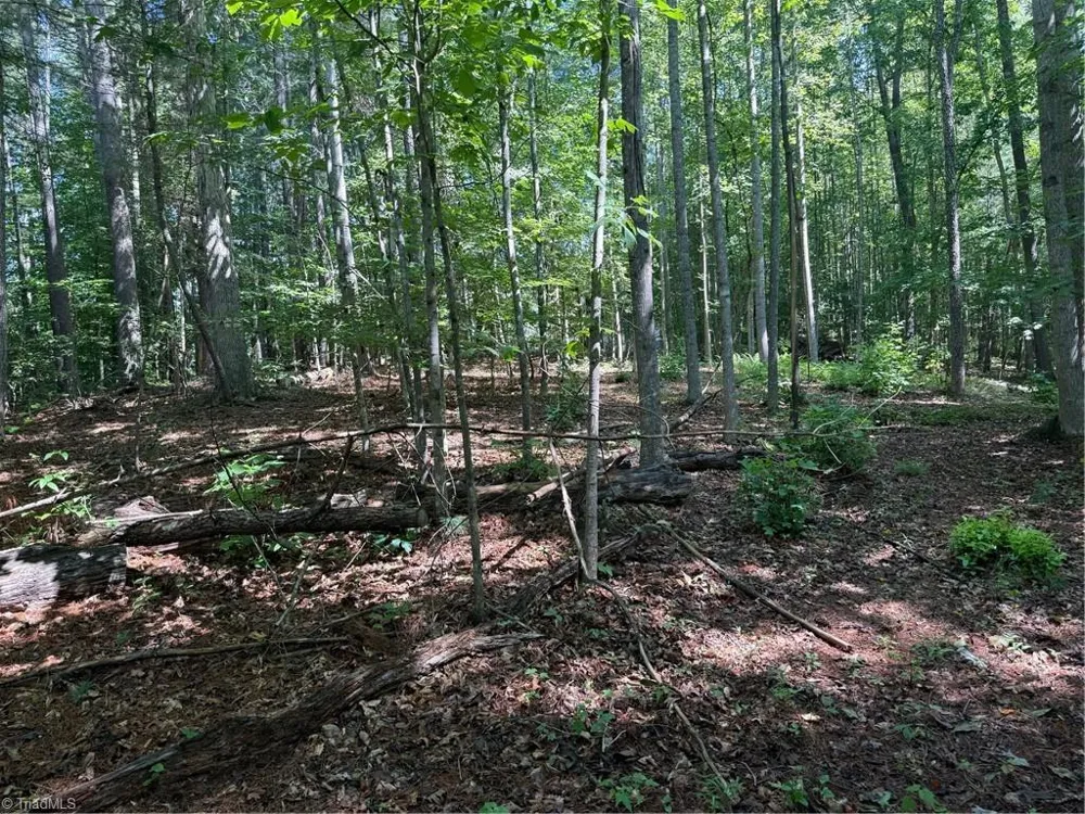 Lot 22 Austin Traphill Road Traphill, NC 28685