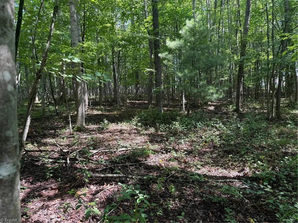 Lot 22 Austin Traphill Road Traphill, NC 28685