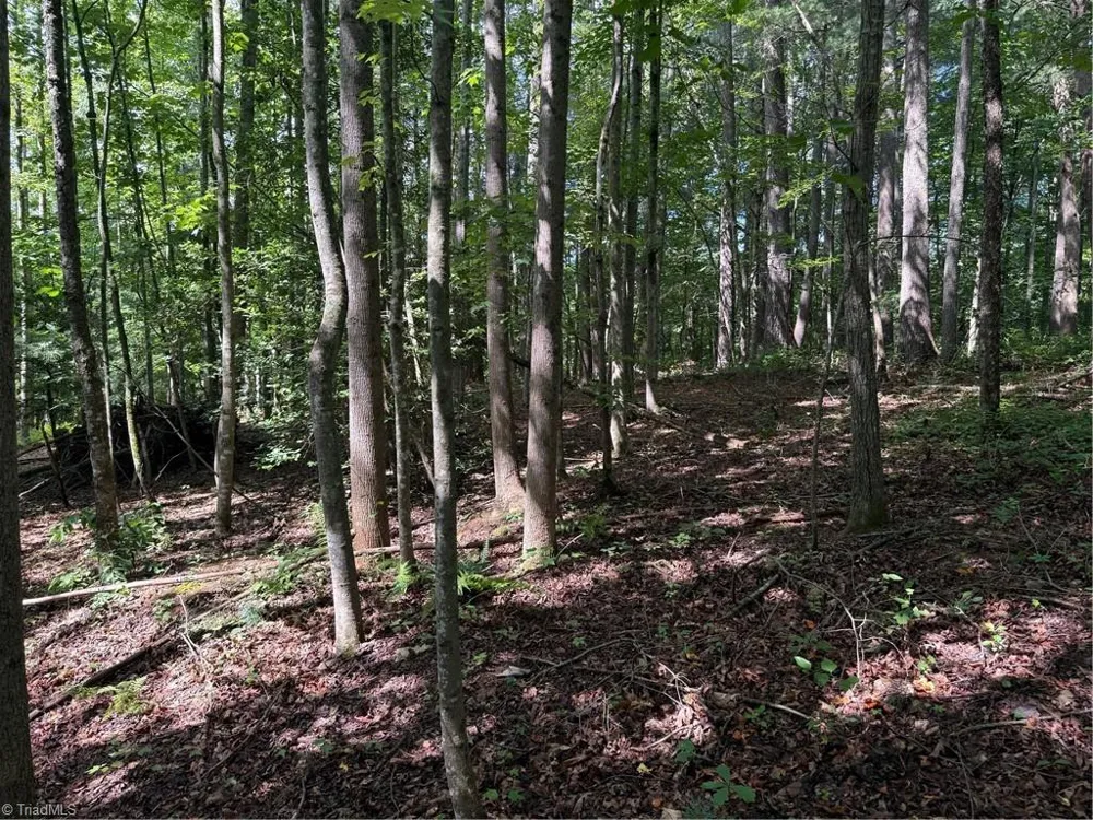 Lot 22 Austin Traphill Road Traphill, NC 28685