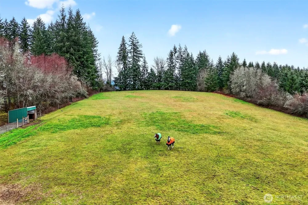 39310 NE 6th Avenue Woodland, WA 98674
