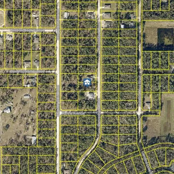 LOT 16 CANVASBACK ROAD Weeki Wachee, FL 34614