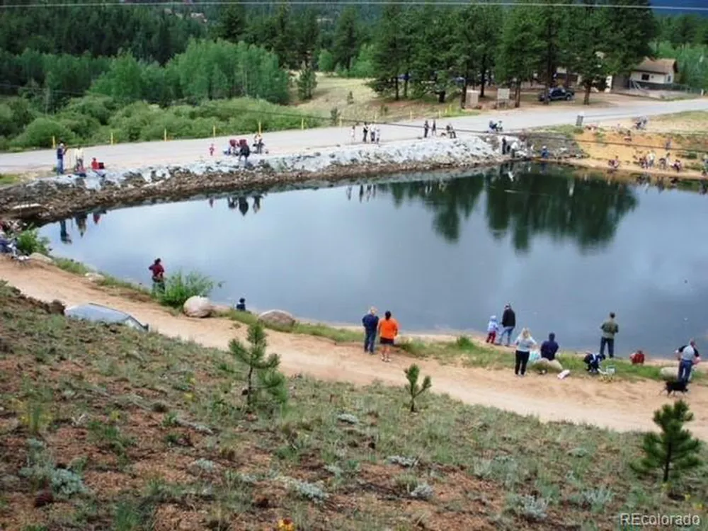 98 Wilkins Road Bailey, CO 80421