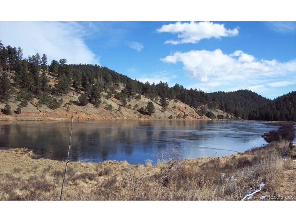 98 Wilkins Road Bailey, CO 80421