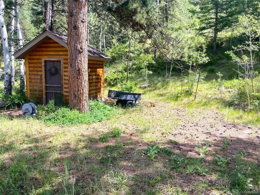 6101 Tallahassee Trail Canon City, CO 81212