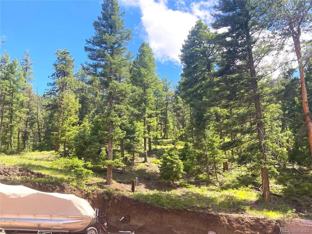 6101 Tallahassee Trail Canon City, CO 81212