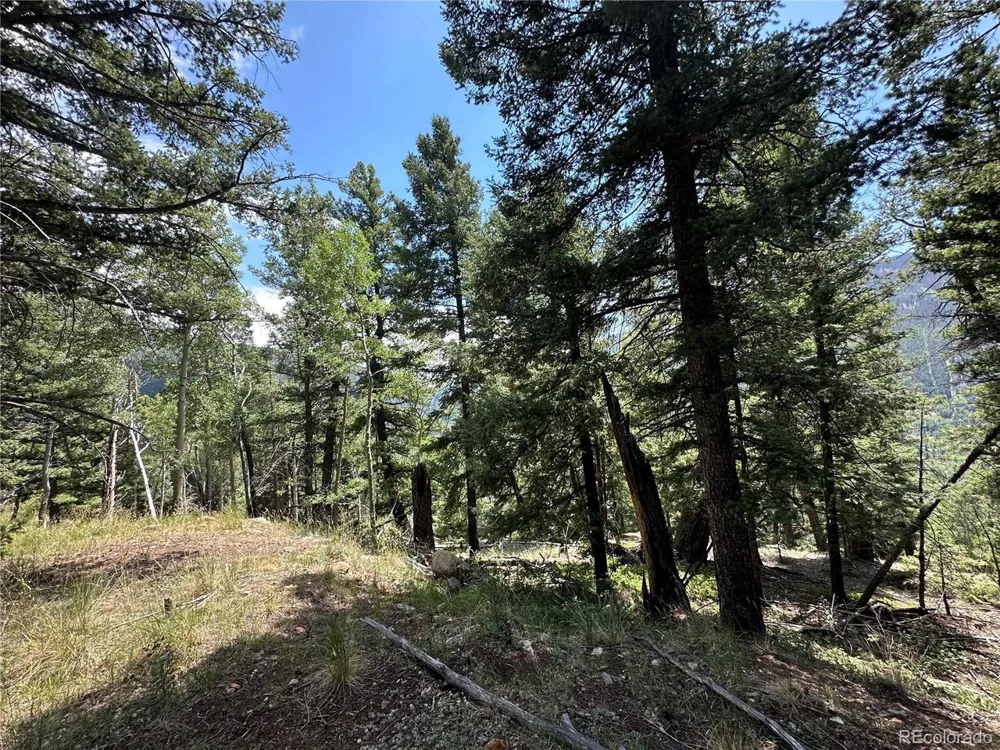 TBD Calkins Jasper, CO 81146