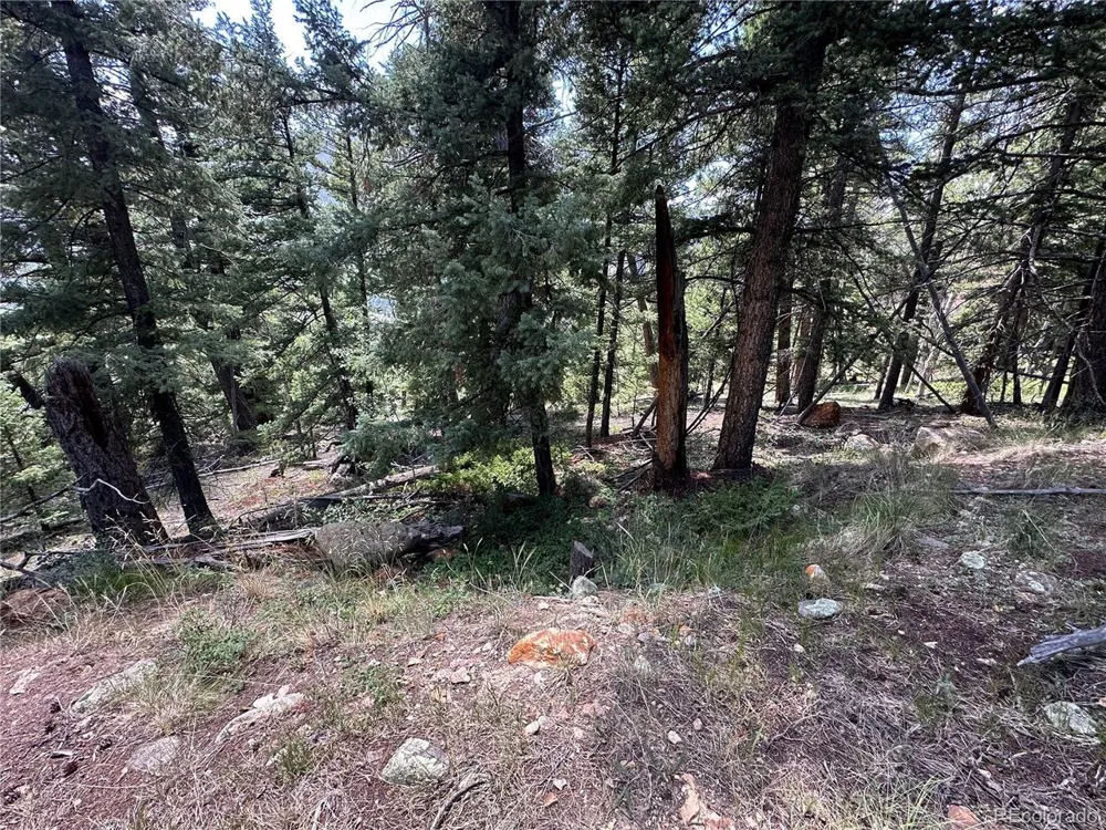 TBD Calkins Jasper, CO 81146