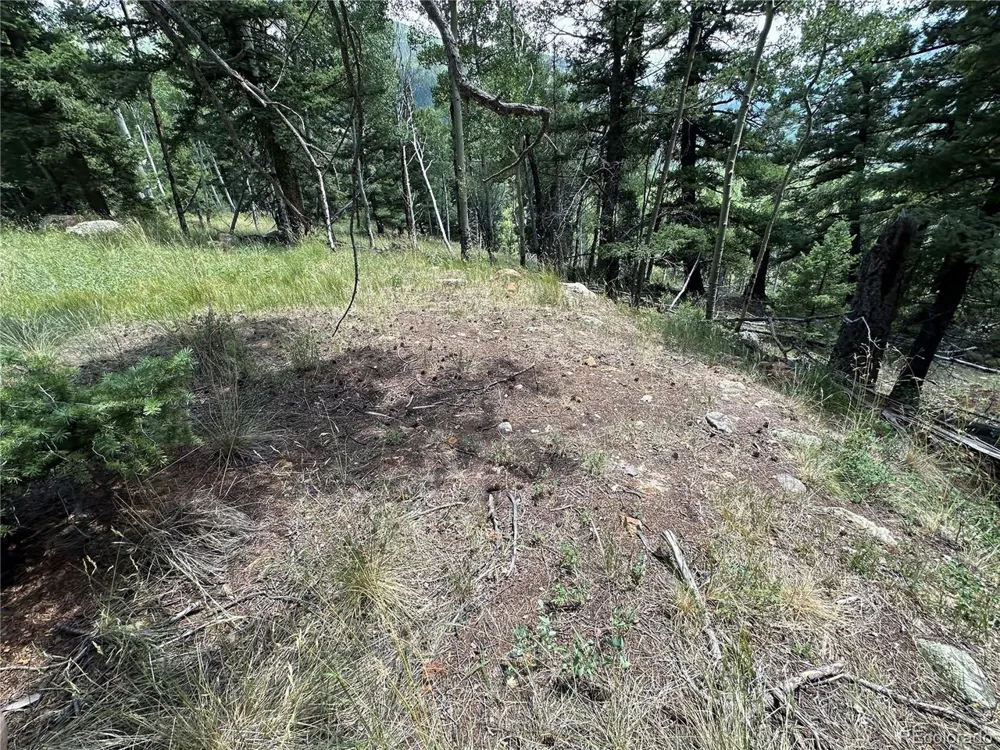 TBD Calkins Jasper, CO 81146