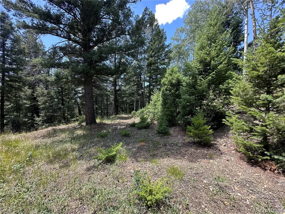 TBD Calkins Jasper, CO 81146