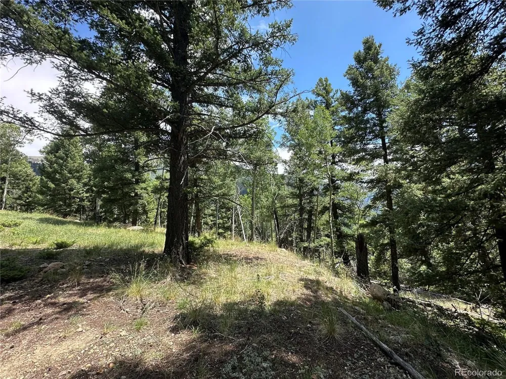 TBD Calkins Jasper, CO 81146