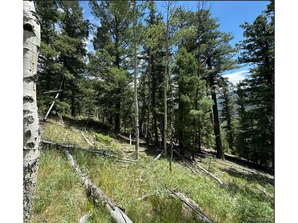 TBD Calkins Jasper, CO 81146