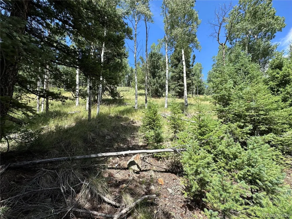 TBD Calkins Jasper, CO 81146