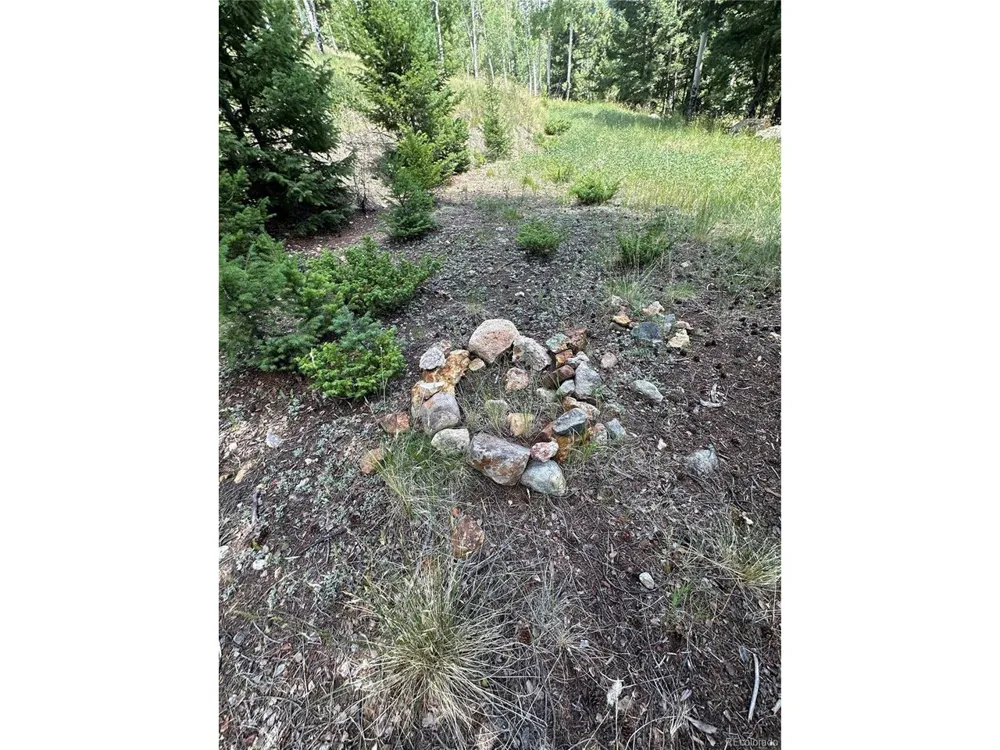 TBD Calkins Jasper, CO 81146