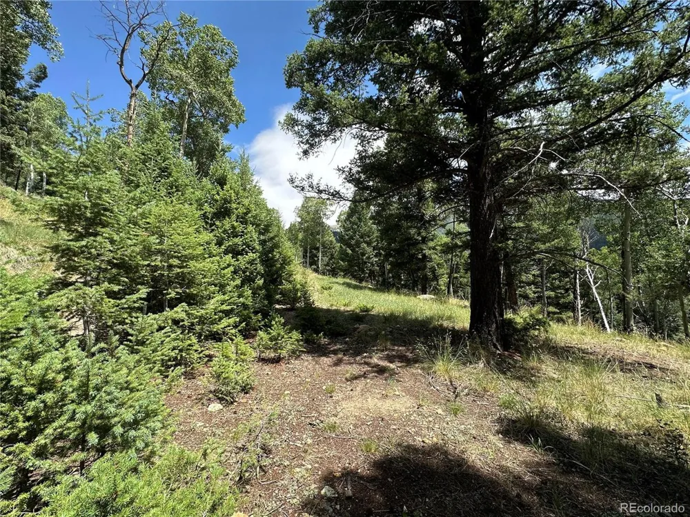 TBD Calkins Jasper, CO 81146