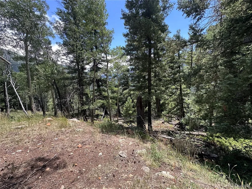 TBD Calkins Jasper, CO 81146