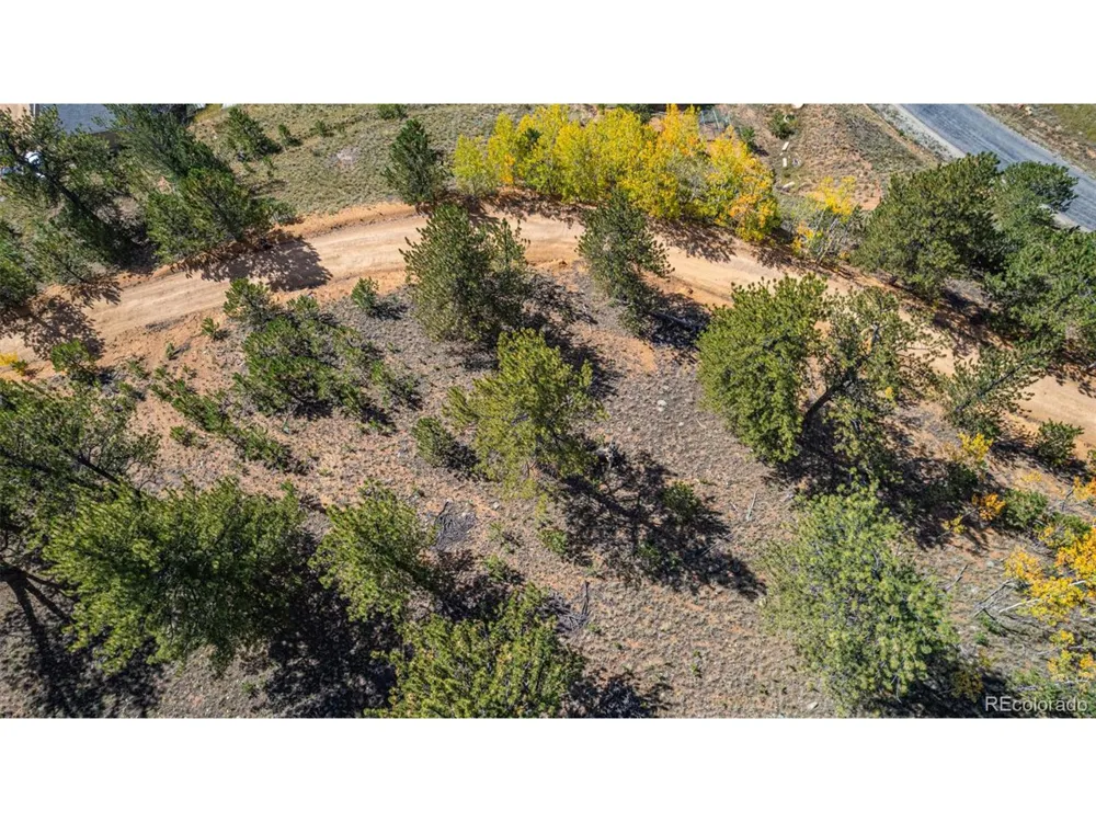 103 Gross Road Bailey, CO 80421