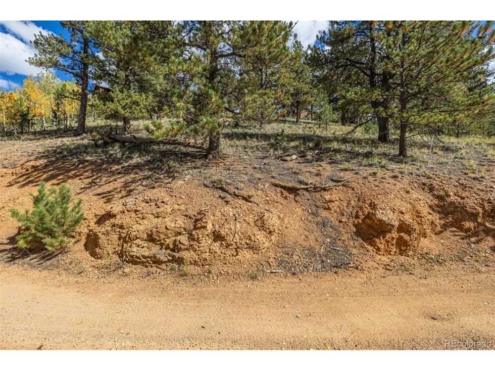 103 Gross Road Bailey, CO 80421