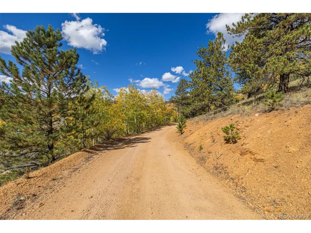 103 Gross Road Bailey, CO 80421