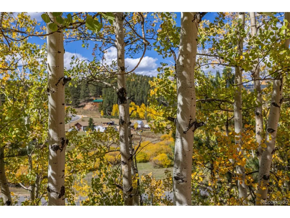 103 Gross Road Bailey, CO 80421
