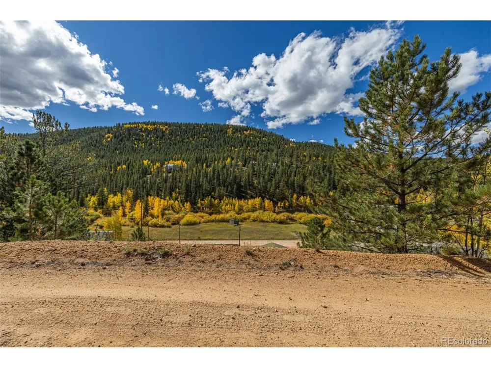 103 Gross Road Bailey, CO 80421