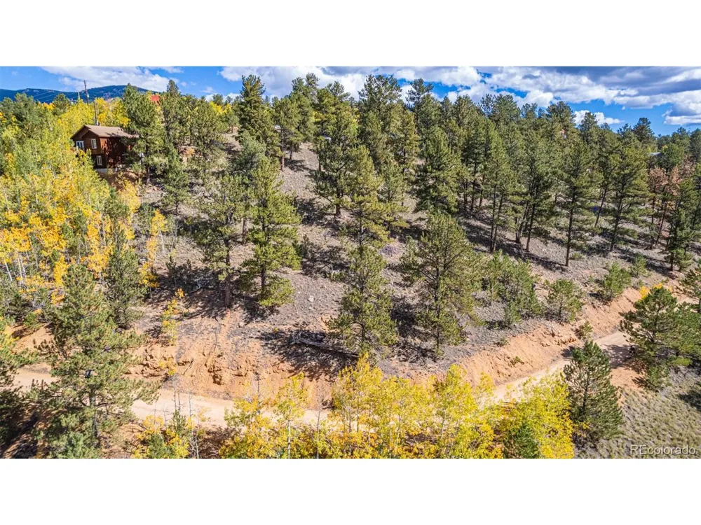 103 Gross Road Bailey, CO 80421