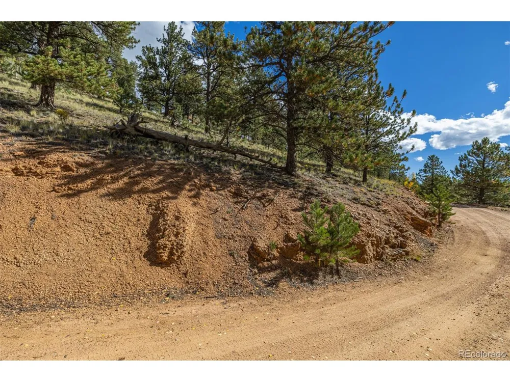 103 Gross Road Bailey, CO 80421