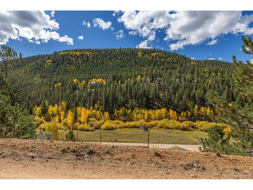 103 Gross Road Bailey, CO 80421