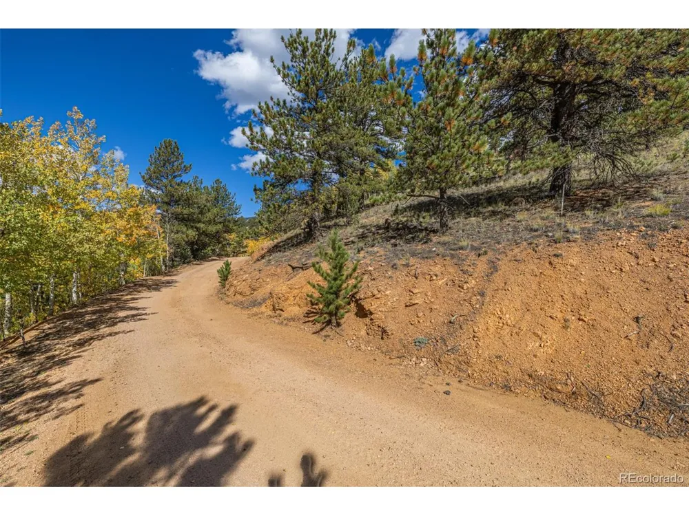 103 Gross Road Bailey, CO 80421