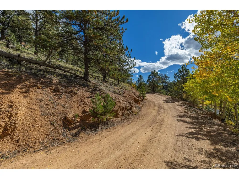 103 Gross Road Bailey, CO 80421