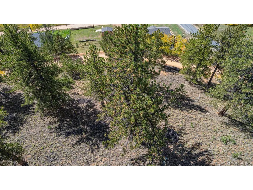 103 Gross Road Bailey, CO 80421
