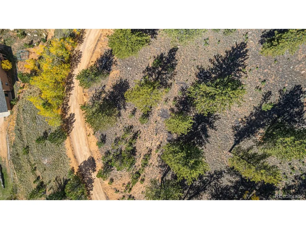 103 Gross Road Bailey, CO 80421