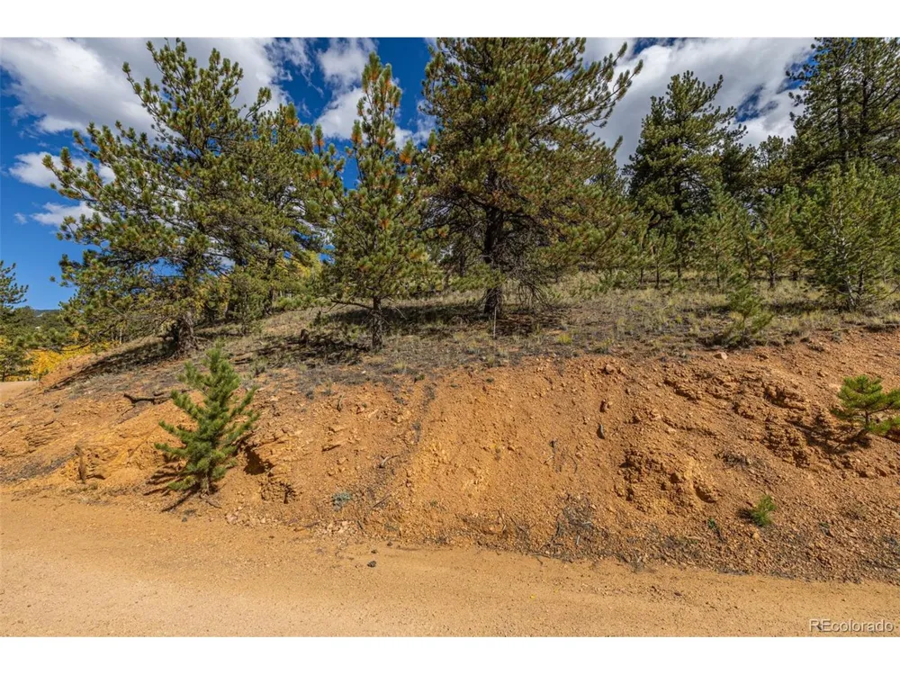 103 Gross Road Bailey, CO 80421