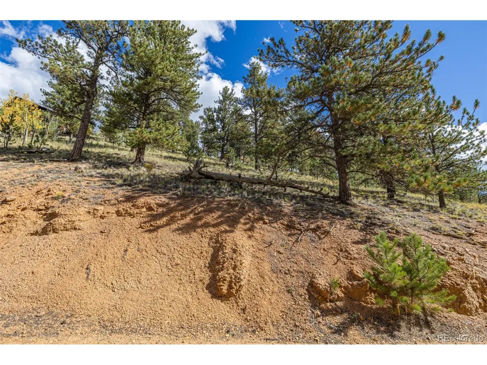103 Gross Road Bailey, CO 80421