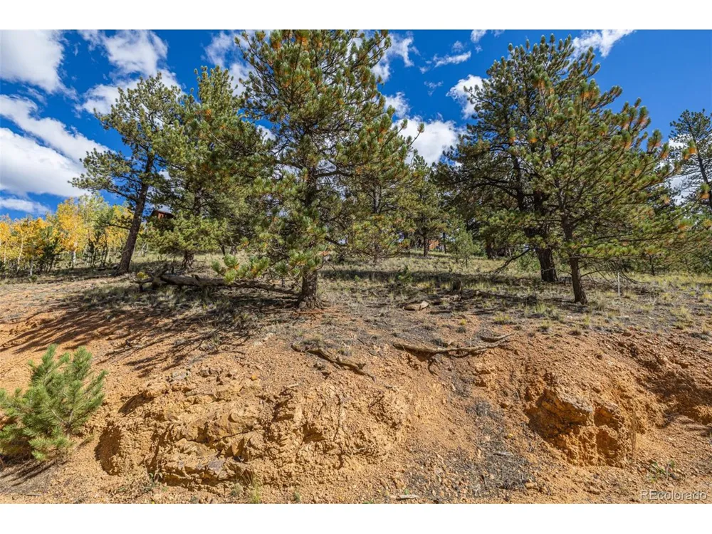 103 Gross Road Bailey, CO 80421