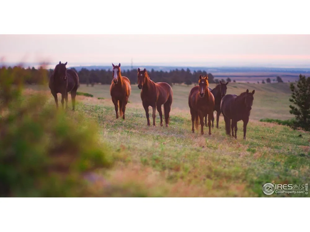 11919 State Hwy 93, Lot C Boulder, CO 80303