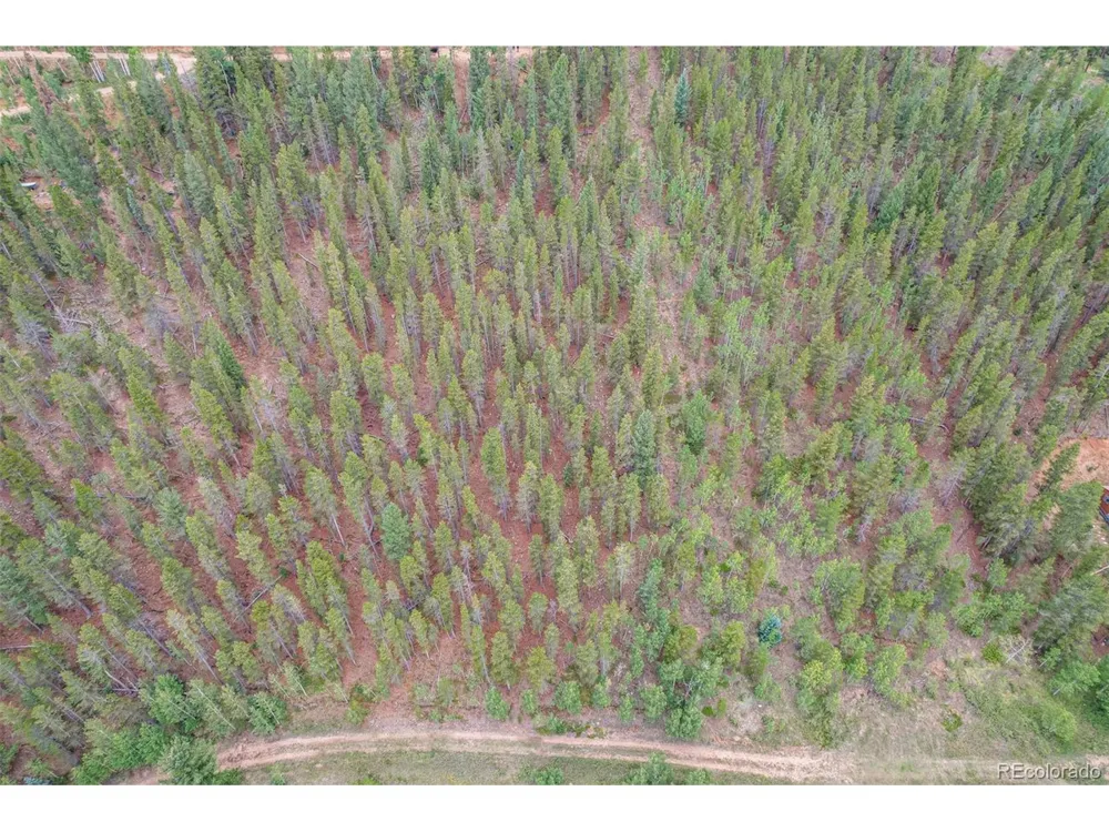 427 Wise Road Bailey, CO 80421