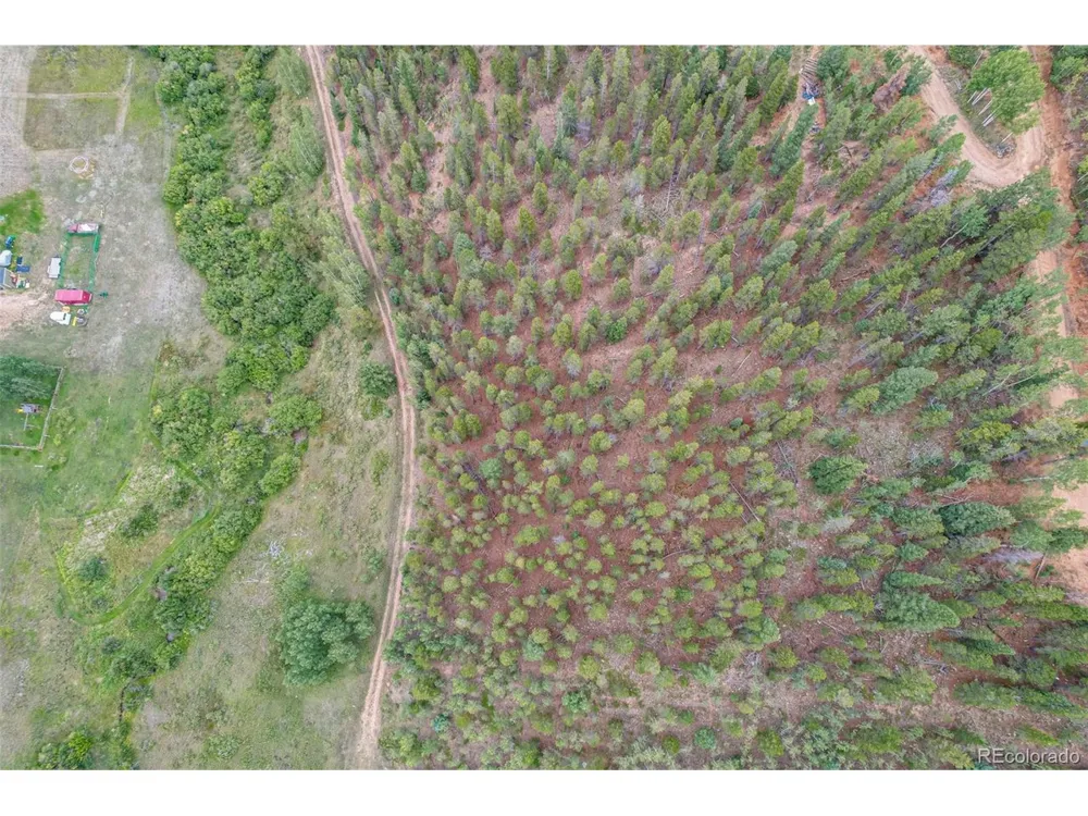 427 Wise Road Bailey, CO 80421