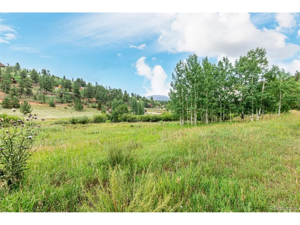 427 Wise Road Bailey, CO 80421