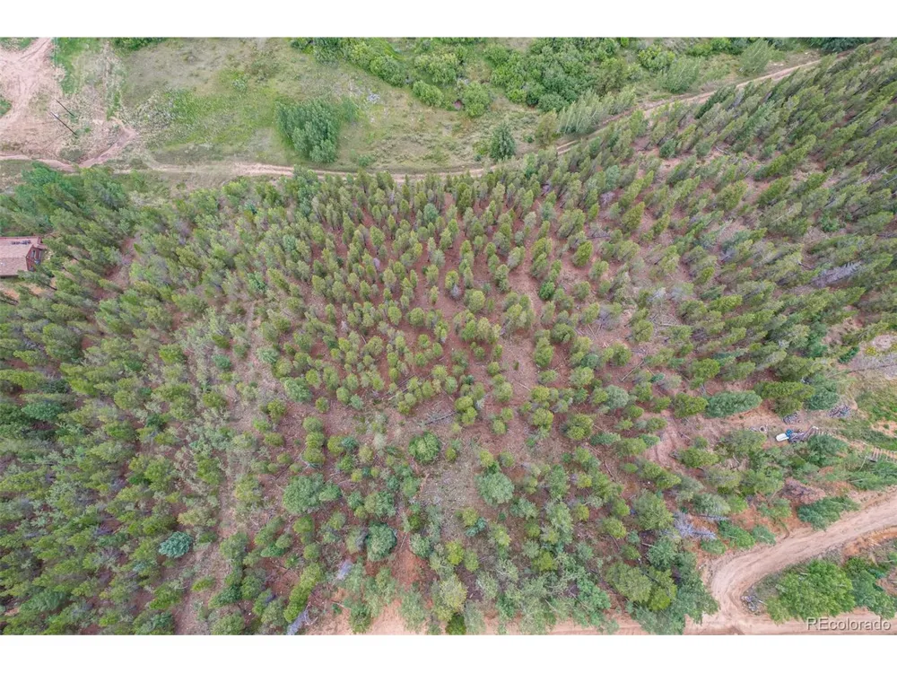427 Wise Road Bailey, CO 80421