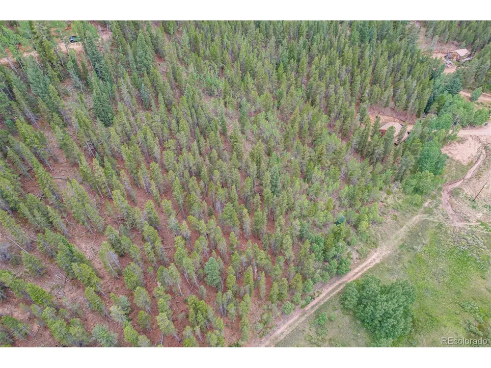 427 Wise Road Bailey, CO 80421
