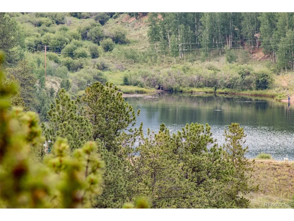 427 Wise Road Bailey, CO 80421