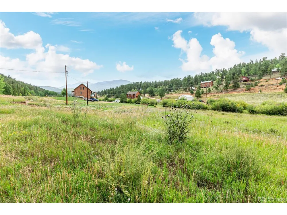 427 Wise Road Bailey, CO 80421