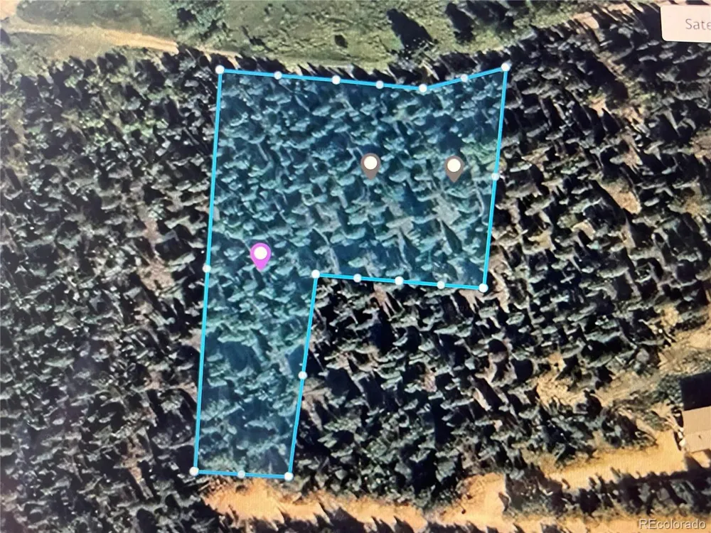 427 Wise Road Bailey, CO 80421