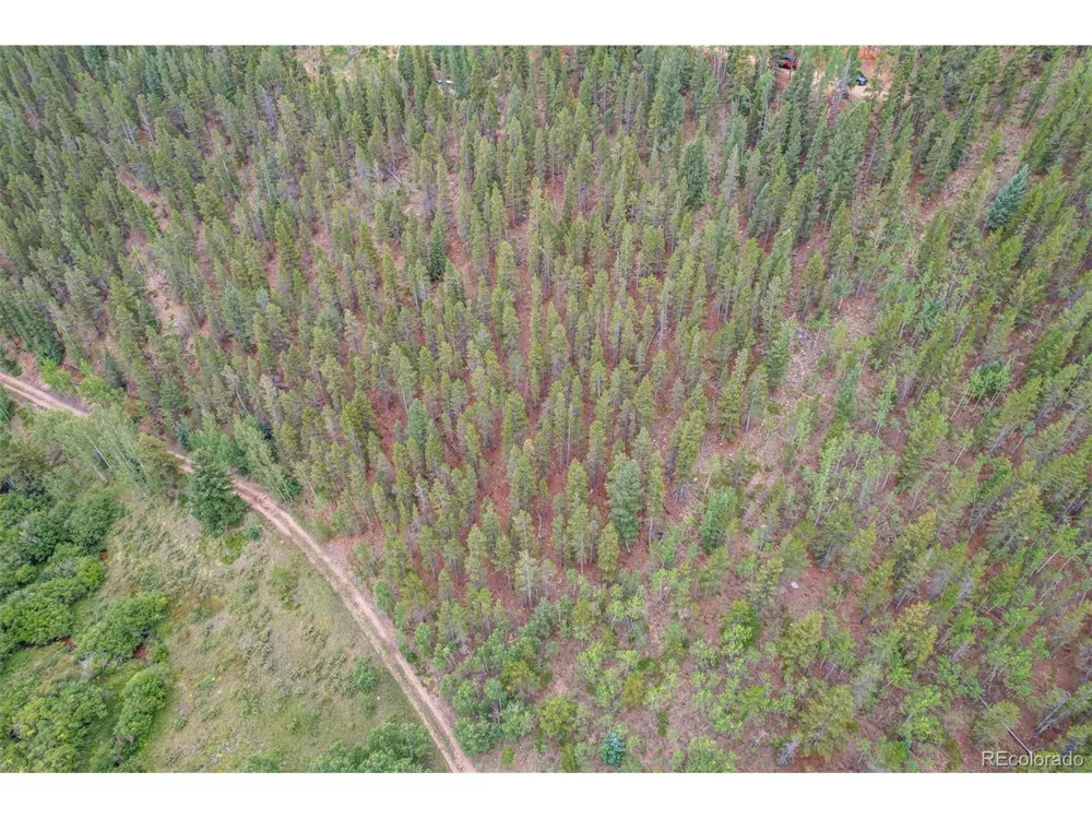 427 Wise Road Bailey, CO 80421